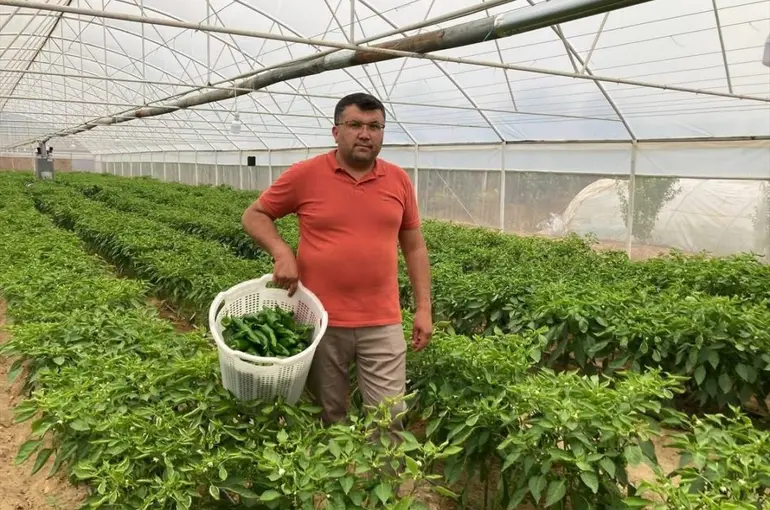 Lezzeti fiyatını unutturuyor
