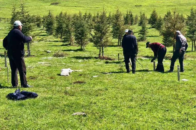 Mahalle halkı imece usulü gölet yaptı
