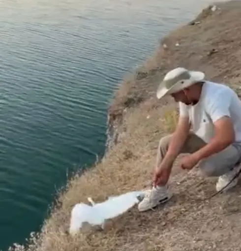 Malatya’da oltaya balık yerine martı takıldı
