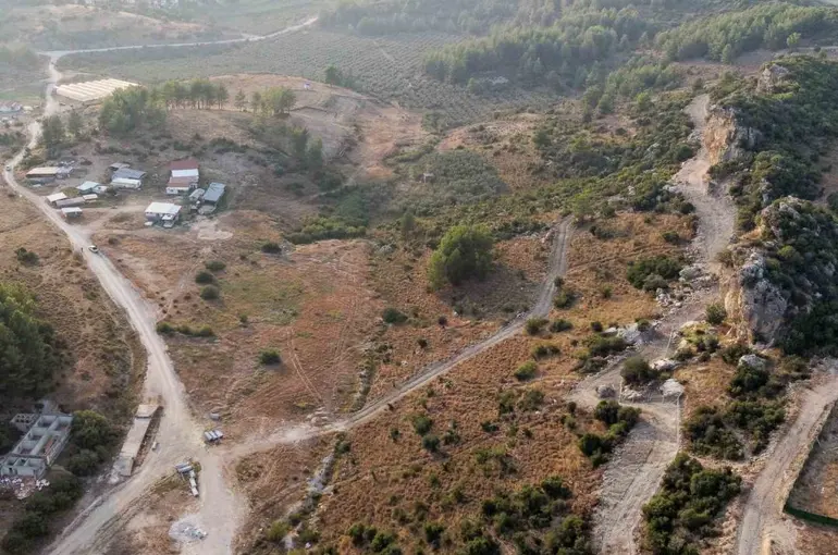 Manavgat’ta sokak hayvanlarına 75 dönümlük yaşam alanı

