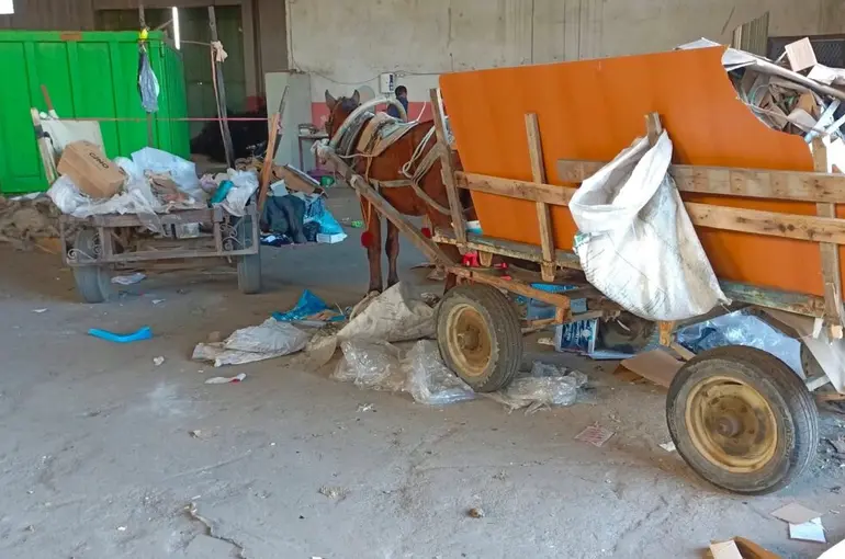 Manisa’da at arabası operasyonu: İki at arabası trafikten men edildi
