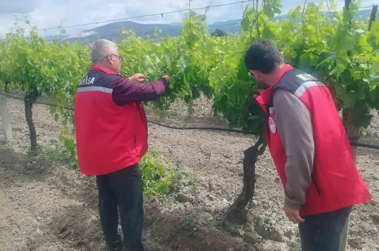 Manisa’da tarım denetimleri hız kesmiyor
