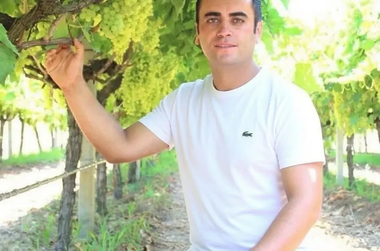 Manisa’da üzüm için "Altın Model"
