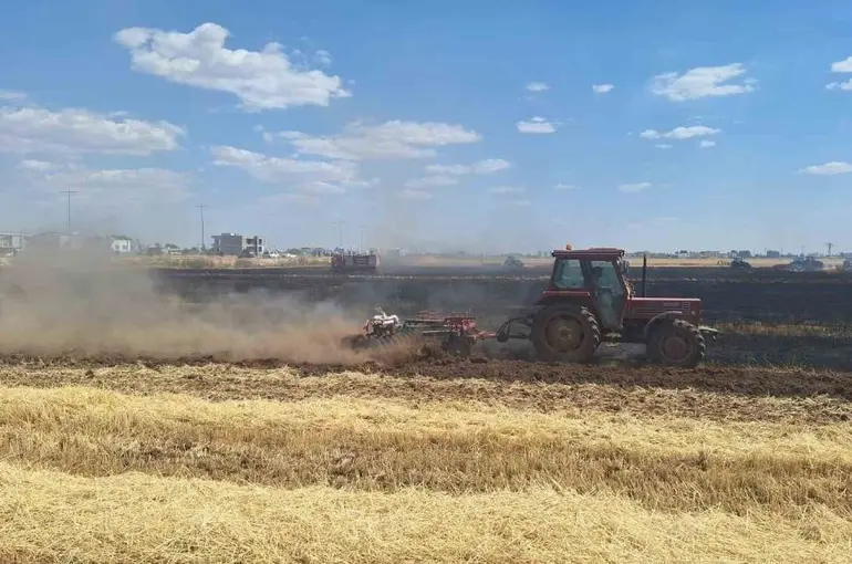 Mardin’de 80 dönüm buğday ekili alan küle döndü
