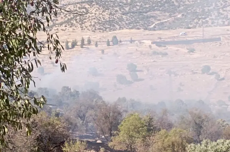 Mardin’de çıkan orman yangını söndürüldü
