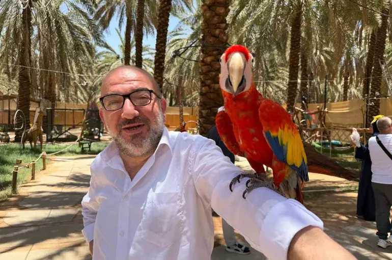 Medine’de papağanlar hacı ve umrecilerin ilgi odağı oldu
