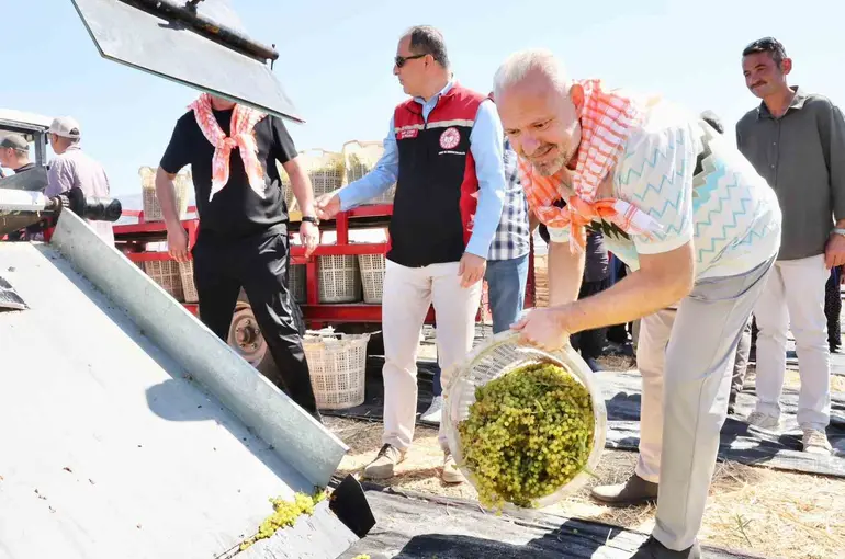Menemen’de ’Bağ Bozumu’ coşkusu
