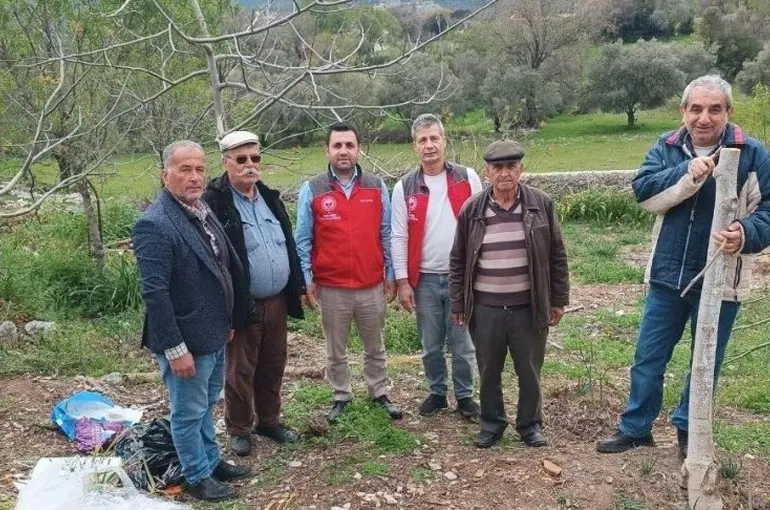 Menteşe’de çiftçiye uygulamalı eğitim

