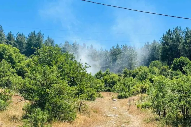 Menteşe’de orman yangını
