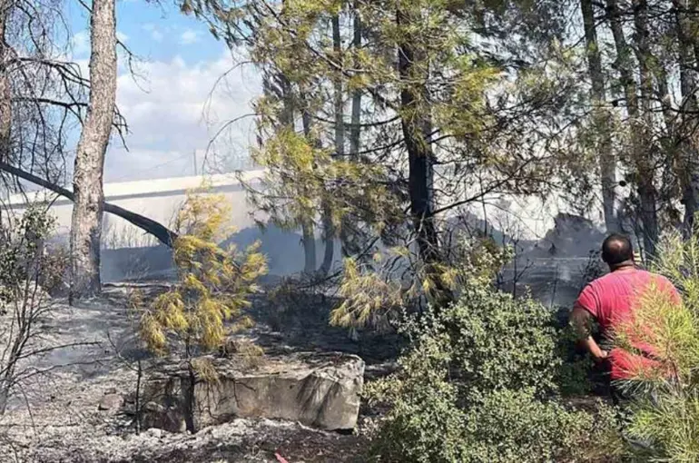Menteşe’deki yangın kısa sürede söndürüldü
