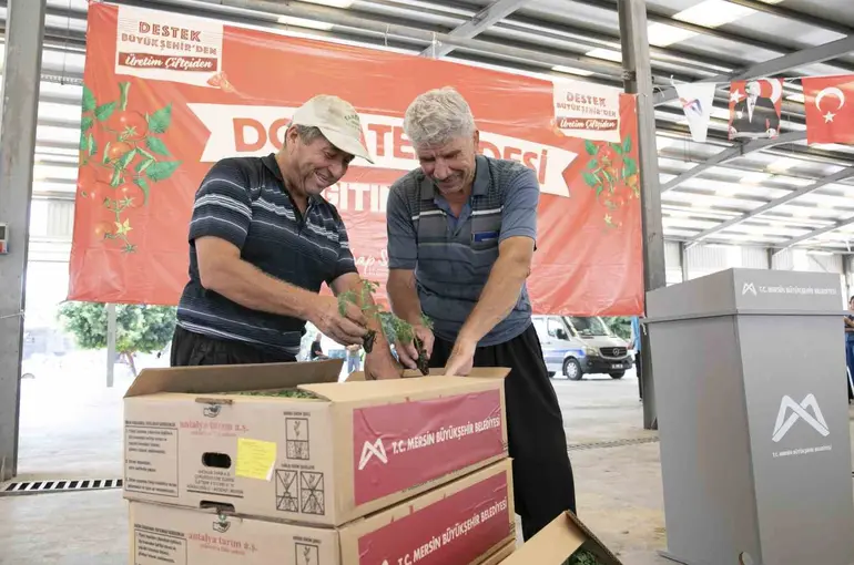 Mersin’de 200 üreticiye yüzde 70 hibeli domates fidesi desteği
