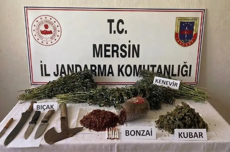Mersin’de uyuşturucu operasyonu: 1 tutuklama
