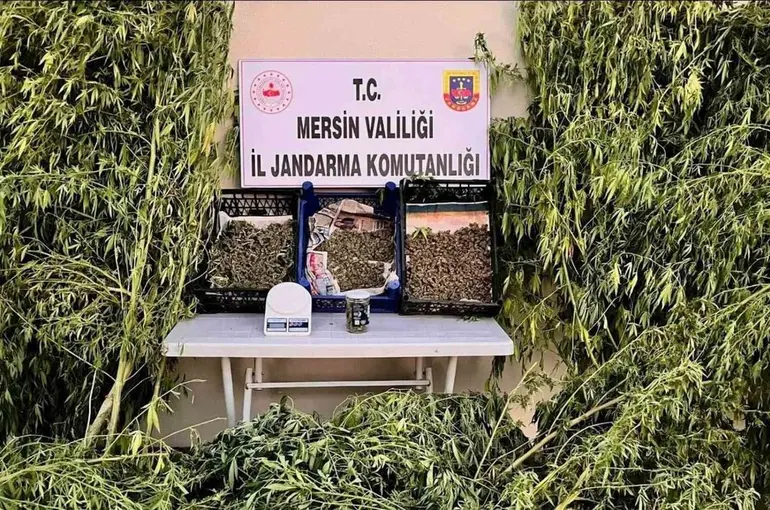 Mersin’de uyuşturucu operasyonu
