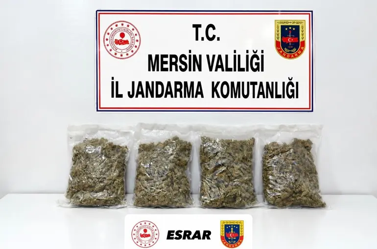 Mersin’de uyuşturucu operasyonu: 2 gözaltı
