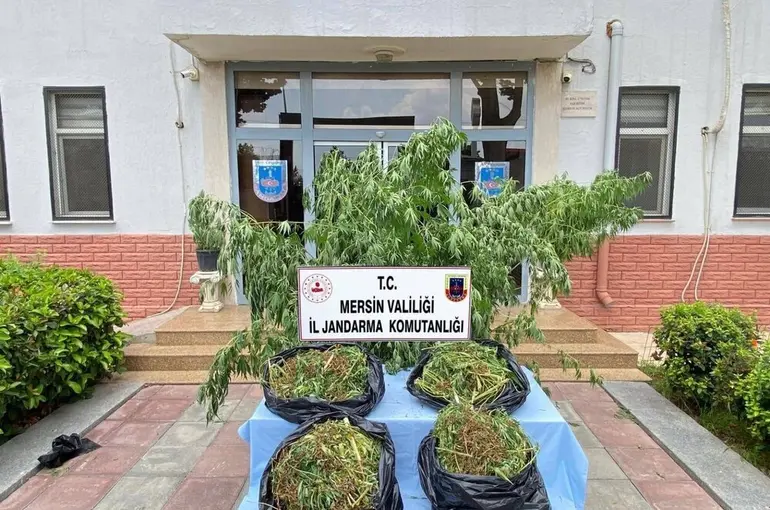 Mersin’de zehir tacirlerine darbe
