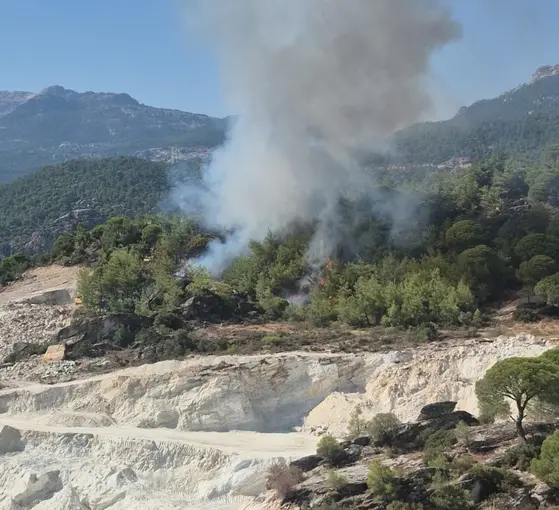 Milas’ta orman yangını
