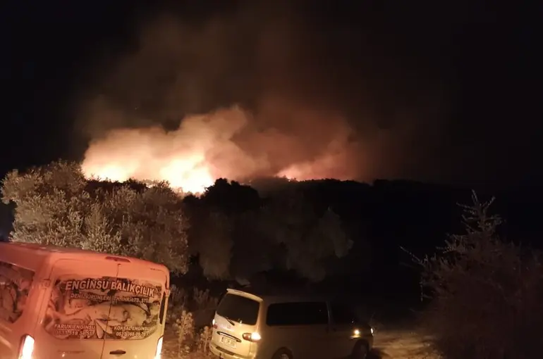 Milas’ta orman yangını
