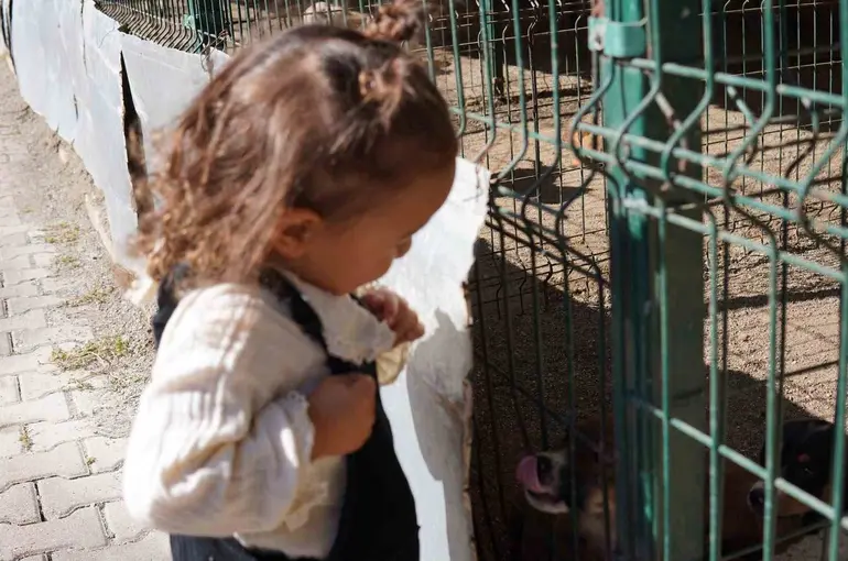 Minik öğrenciler hayvan barınağında hayvanlarla vakit geçirdi
