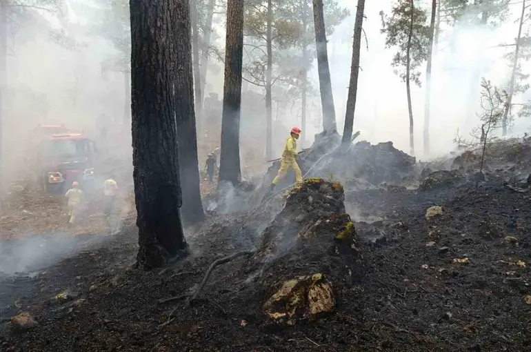 Muğla Valiliğinden ‘Yangın’ uyarısı
