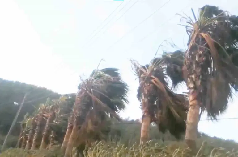 Muğla’nın Kuzey bölümleri için fırtına uyarısı
