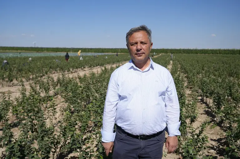 Niğde, elma fidanı üretiminde Türkiye’nin öncüleri arasında
