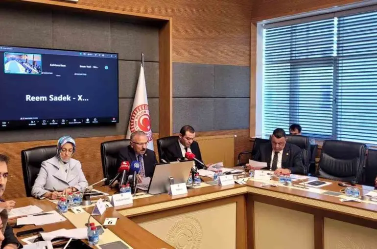 Okul Saldırılarını Araştırma Komisyonu sosyal medya platformları temsilcilerini dinledi
