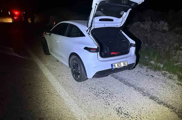 Önüne aniden çıkan köpeğe duramayarak çarptı
