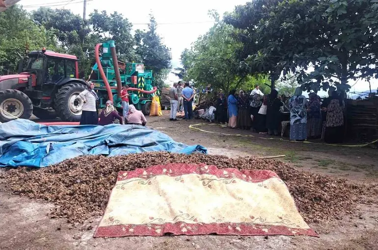 Ordu’da silahlı saldırı: 2 ölü
