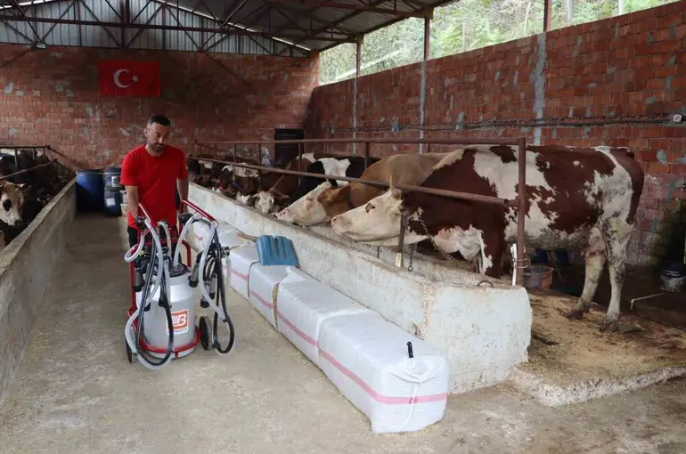 Ordu’da sütün değeri artıyor
