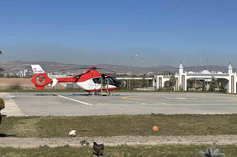 Ormanda ayı saldırısına uğradı, tedavi altına alındı
