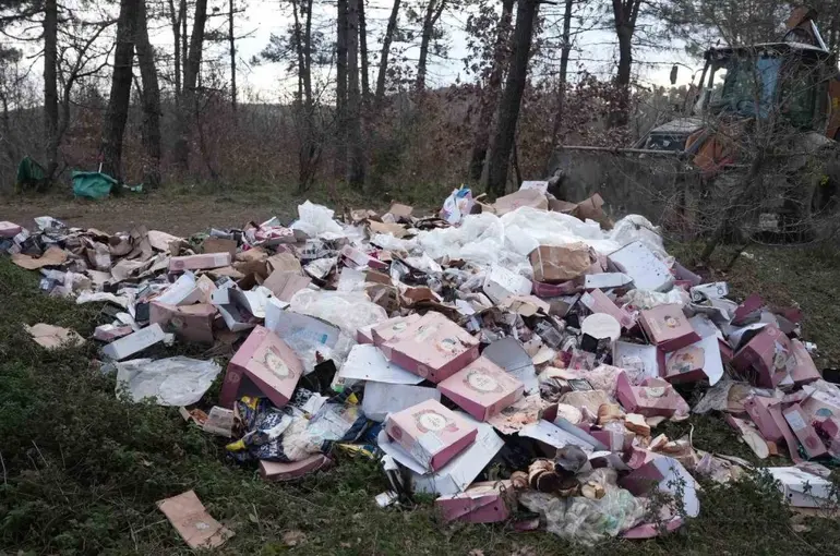 Ormanı çöplüğü çevirmişler
