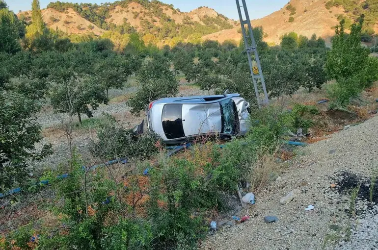 Otomobil meyve bahçesine yuvarlandı: 4 yaralı
