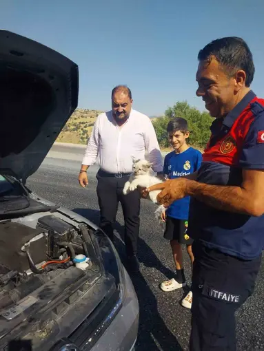 Otomobilin motoruna sıkışan kedi kurtarıldı

