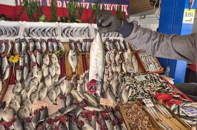 Palamut bu sezon hamsiyi geride bıraktı
