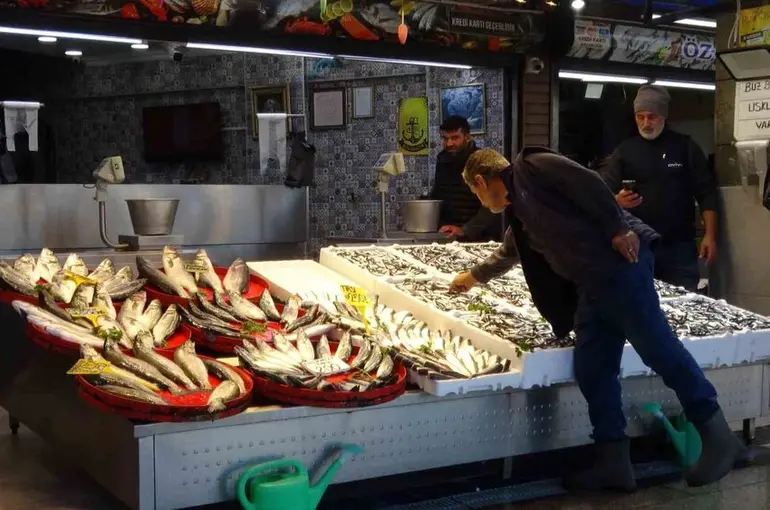 Palamut sezonu başlamadan bitti, umutlar seneye kaldı
