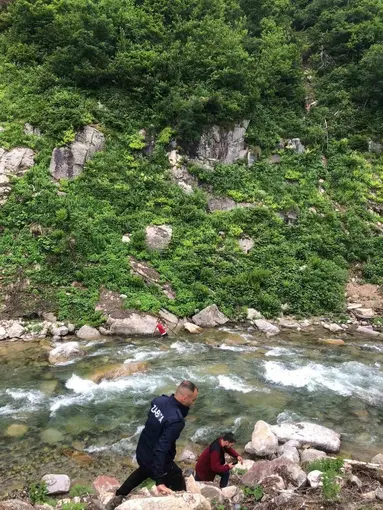 Papağanını kurtardı, kendisi mahsur kaldı
