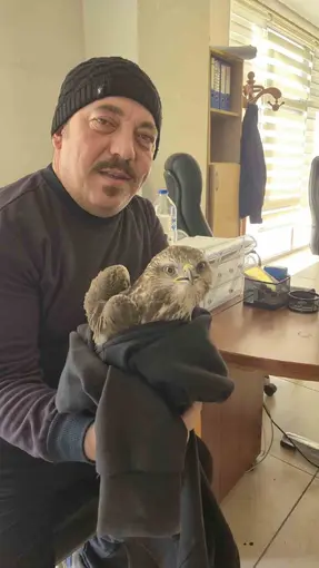 Payas’ta yaralı şahin bulundu
