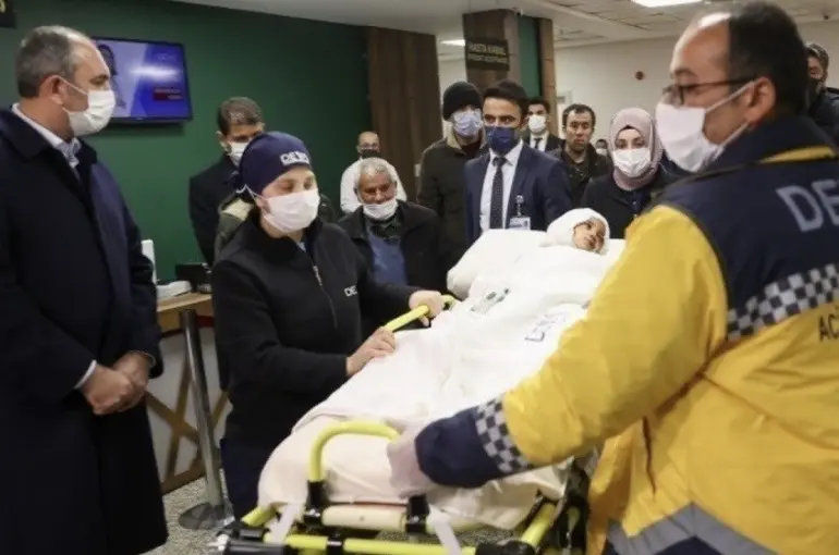 Pitbulllar "silah" kabul edildi
