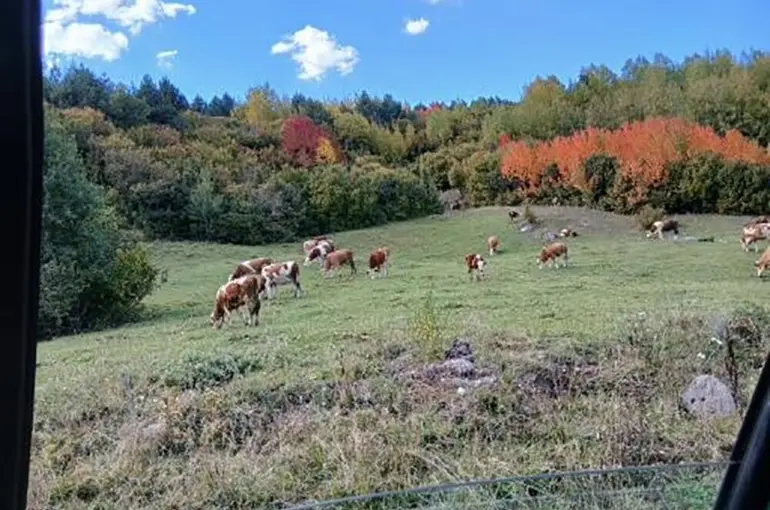 Posof’ta sonbahar güzelliği
