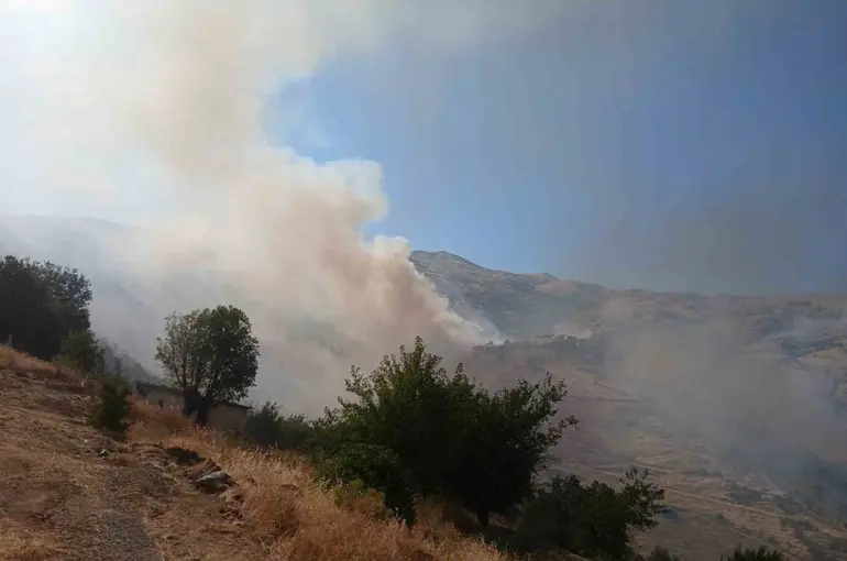 Pütürge’deki arazi yangınına müdahale sürüyor
