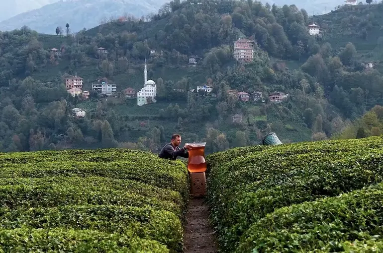 Rize’de dev çay bardağıyla yapılan çekim olay oldu: İzleyenler yapay zeka sandı
