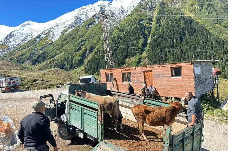 Rize’de yaylalardan dönüş erken başladı
