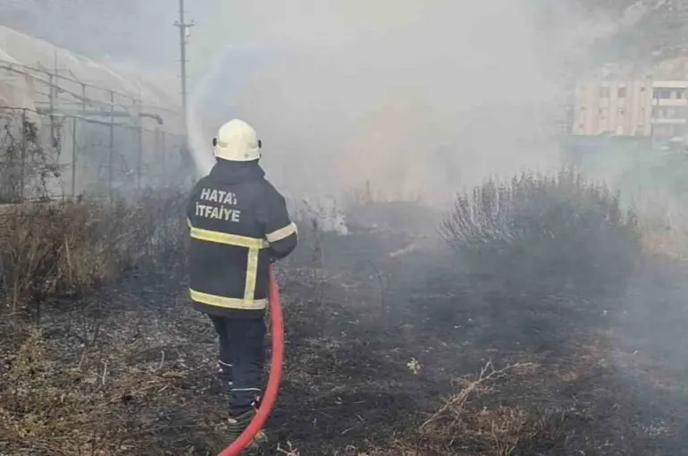 Samandağ’da bahçe yangını
