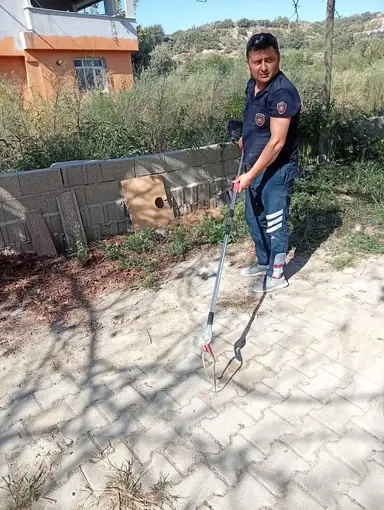 Samandağ’da yerleşim yerinde görülen yılan yakalanarak doğaya bırakıldı
