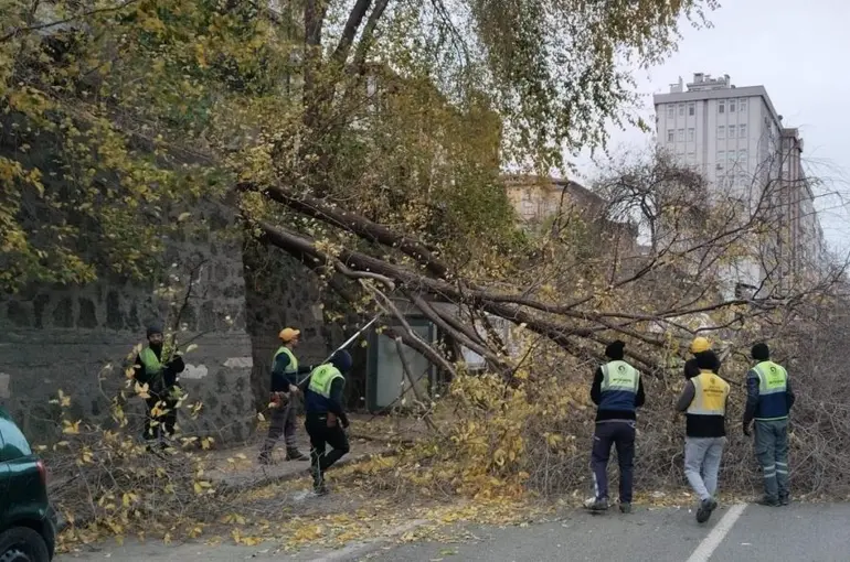 Samsun’da şiddetli rüzgar ağaçları devirdi
