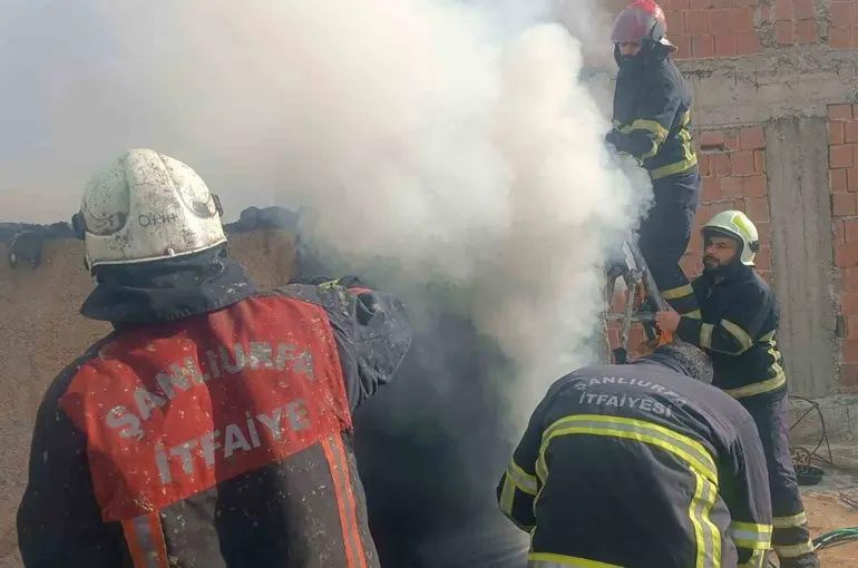 Şanlıurfa’da mesken yangını söndürüldü
