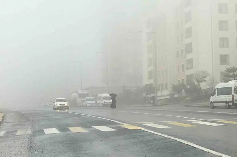 Şanlıurfa’da yoğun sis ve yağmur etkili oluyor
