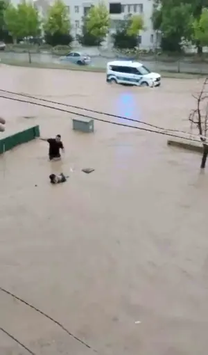 Sel sularına kapılan yaşlı adamı son anda kurtardılar
