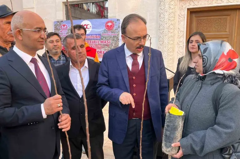 Siirtli çiftçilere 25 bin fıstık ve 4 bin 300 adet Trabzon Hurması fidanı dağıtıldı
