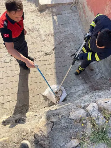 Siirt’te 1 buçuk metrelik yılan evin bahçesinden çıktı
